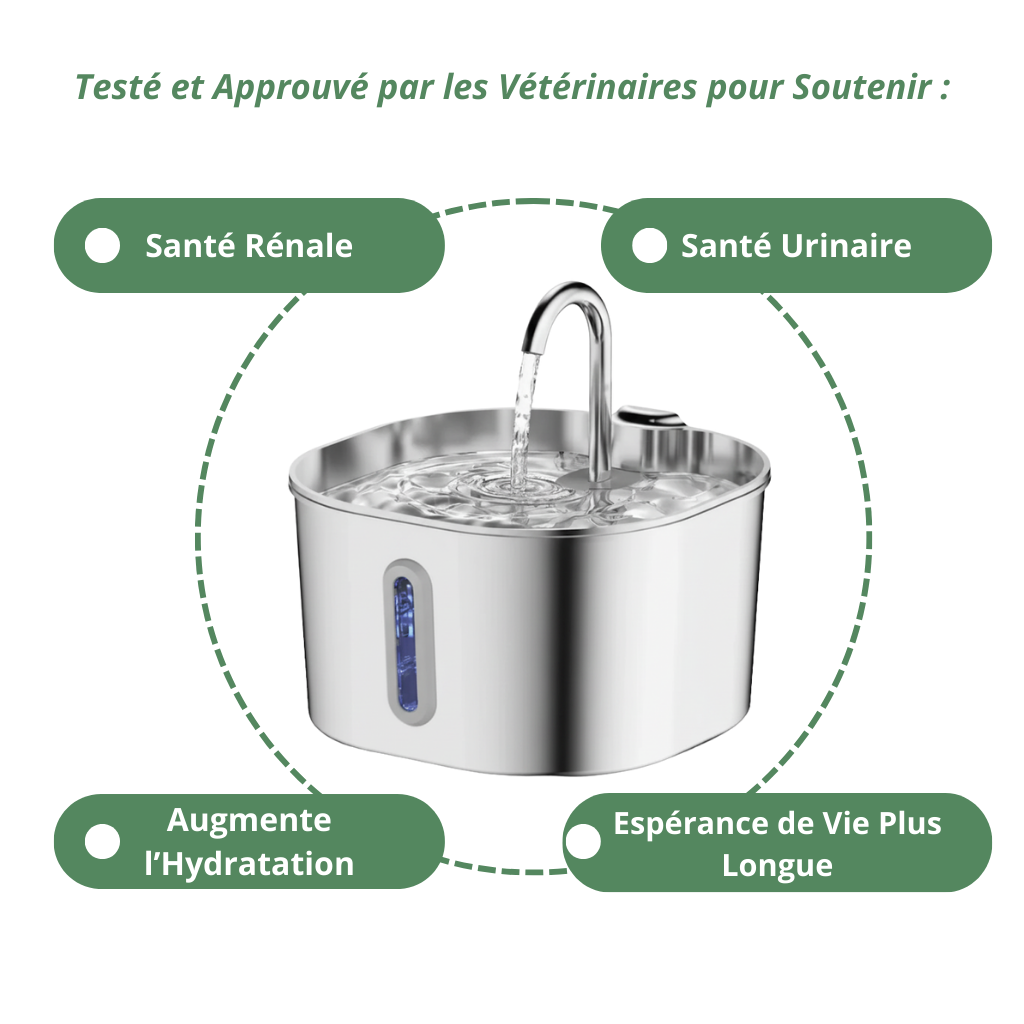 Fontaine à Eau pour Chat en Acier Inoxydable 2.2L - Kaitena Hygiène Premium