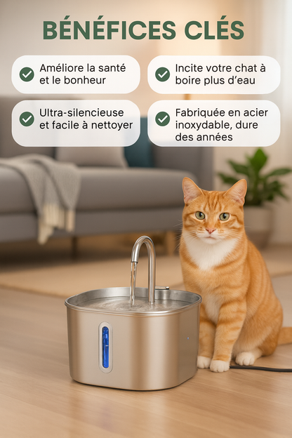 Fontaine à Eau pour Chat en Acier Inoxydable 2.2L - Kaitena Hygiène Premium