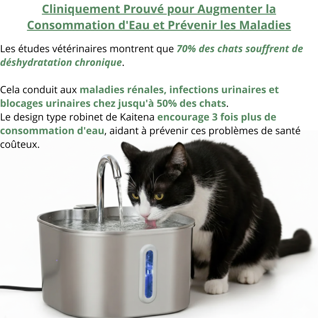 Fontaine à Eau pour Chat en Acier Inoxydable 2.2L - Kaitena Hygiène Premium