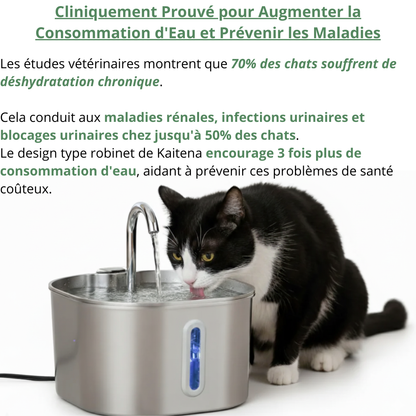 Fontaine à Eau pour Chat en Acier Inoxydable 2.2L - Kaitena Hygiène Premium